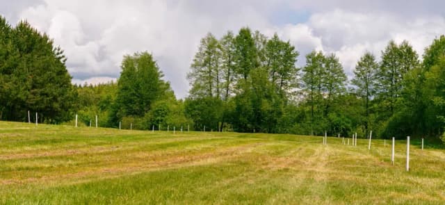 Ile kosztuje podział działki? Sprawdź, by uniknąć niepotrzebnych wydatków