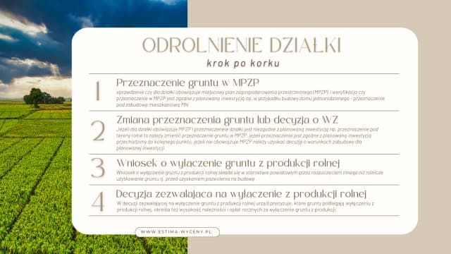 Ile kosztuje odrolnienie działki? Sprawdź, co musisz wiedzieć