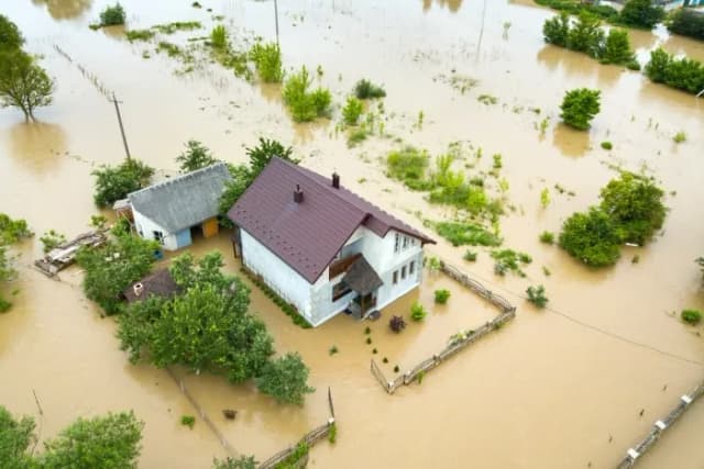 Skuteczne metody osuszania działki: uniknij problemów z wodą