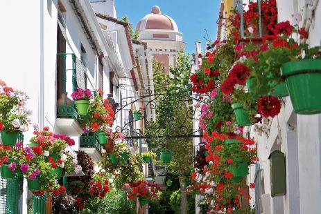 Estepona w Hiszpanii nieruchomości